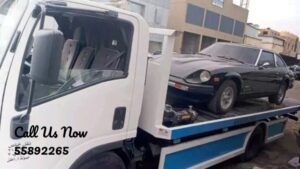 Salhia Car Rescue Winch