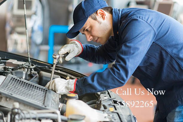 Suzuki Electrical Specialist